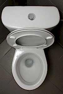 toilet-with-button-flush