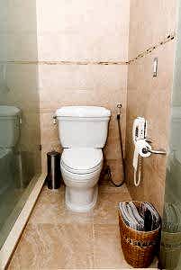 toilet-with-sprayer-and-phone